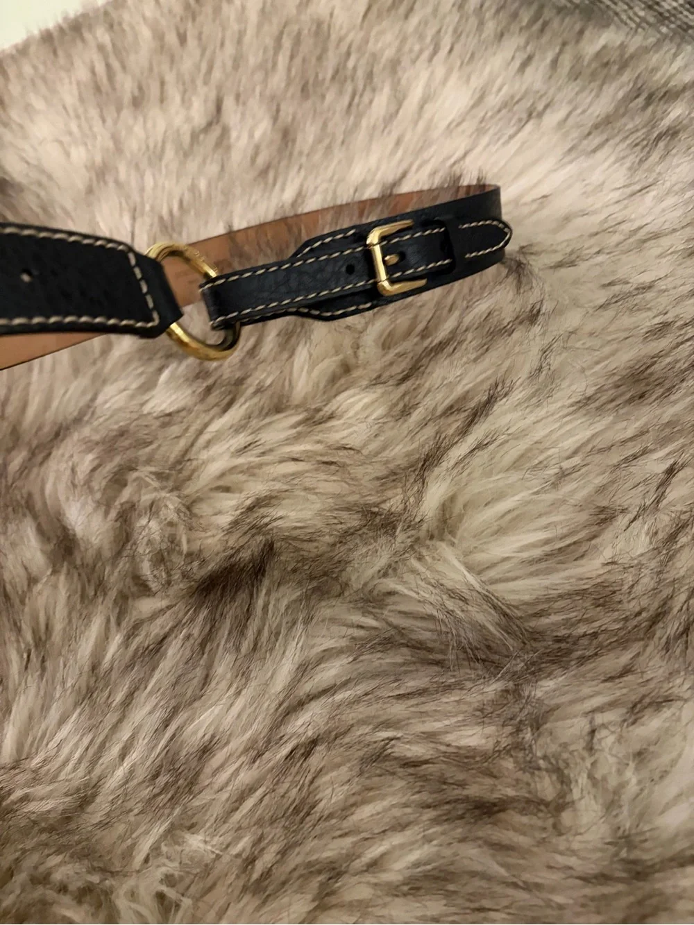 Dolce & Gabbana Black Leather Belt with Gold Oval Logo Buckle